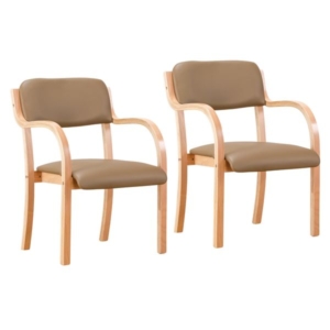 立ち座りサポートチェア 同色2脚組 組立式 代引不可