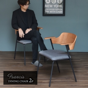 ダイニングチェア 食卓椅子 mm 2脚セット スチール 肘付き 組立式 リビング ダイニング インテリア家具 代引不可