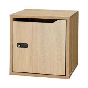 アスカ 組立式木製収納ボックス 本体(扉有り) B900WD 1台