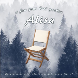 アカシア製 折りたたみチェア/ガーデンチェア 2脚セット 木製 アウトドア用品 代引不可