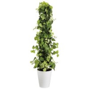 東北花材 人工樹木 IXヘゴ ライム 90241