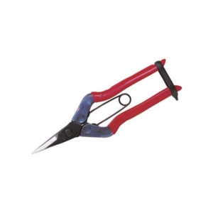 (まとめ) 近正(チカマサ) 摘果鋏 T-500 1個 5セット