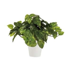 東北花材 人工樹木/インテリア ポトスブッシュ 90240