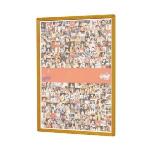 馬印 楽ラクパネル ラクパー B1 Q-B1W 1枚