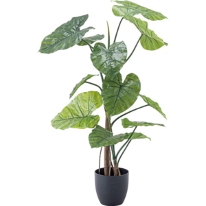 フェイク 観葉植物 クワイズモ 約 リビング 店舗 ショップ インテリア雑貨