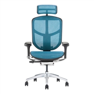 オフィスチェア デスクチェア フレーム ブルー ヘッドレスト付き 肘付 エルゴヒューマン エンジョイ2 代引不可