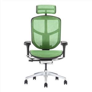 オフィスチェア デスクチェア フレーム グリーン ヘッドレスト付き 肘付 エルゴヒューマン エンジョイ2 代引不可