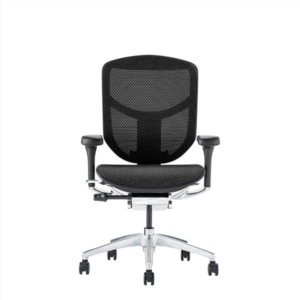 オフィスチェア デスクチェア フレーム ブラック 肘付き リクライニング エルゴヒューマン エンジョイ2 代引不可