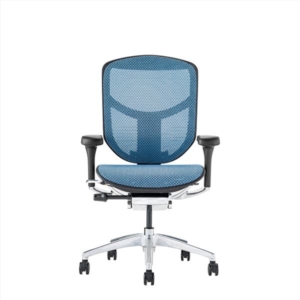 オフィスチェア デスクチェア フレーム ブルー 肘付き リクライニング エルゴヒューマン エンジョイ2 代引不可