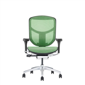 オフィスチェア デスクチェア フレーム グリーン 肘付き リクライニング エルゴヒューマン エンジョイ2 代引不可
