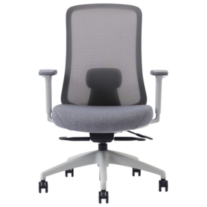 デスクチェア ライト ランバーサポート付 キャスター付 肘付 高さ調節可 高機能 オフィスチェア Type-43 組立品 代引不可