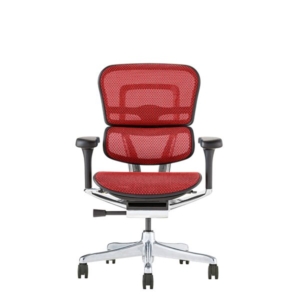 エルゴヒューマン プロ2 ロータイプ(フレーム レッド)EHP2-AM-DR-BF-RD PU 新基盤 組立品 代引不可