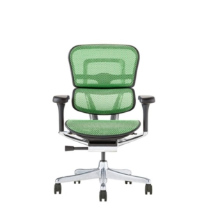 エルゴヒューマン プロ2 ロータイプ(フレーム グリーン)EHP2-AM-DR-BF-GN PU 新基盤 組立品 代引不可