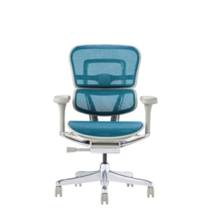 エルゴヒューマン プロ2 ロータイプ(フレーム ブルー)EHP2-AM-DR-GF-BL PU 新基盤 組立品 代引不可