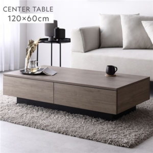 センターテーブル 長方形 引き出し 2杯付き ローテーブル リビング ダイニング インテリア家具